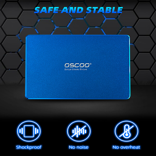 اس اس دی اینترنال اوسکو مدل BLUE 001 ظرفیت یک ترابایت - فراسنتر