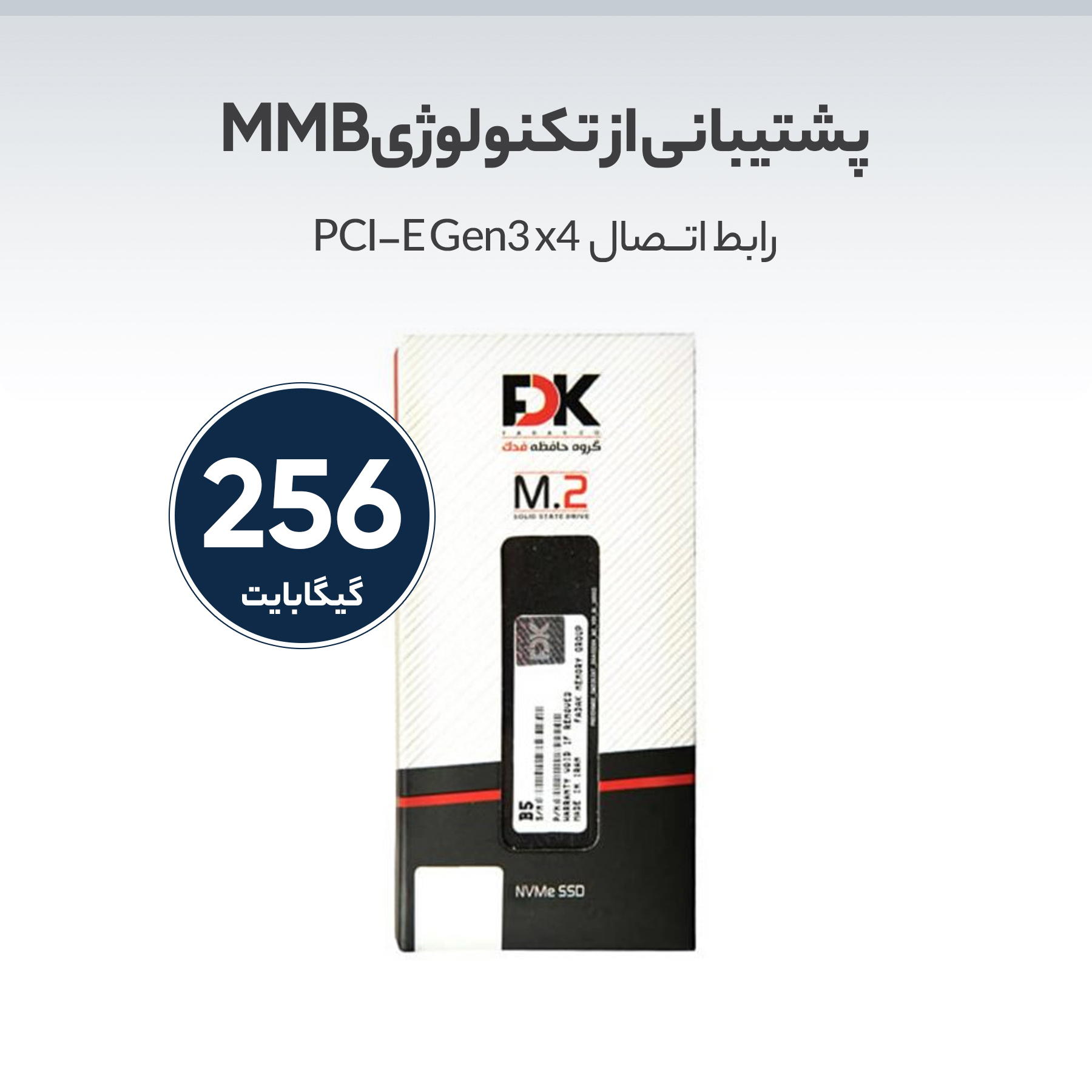 اس اس دی اینترنال فدک مدل B5 M.2 ظرفیت 256 گیگابایت - فراسنتر
