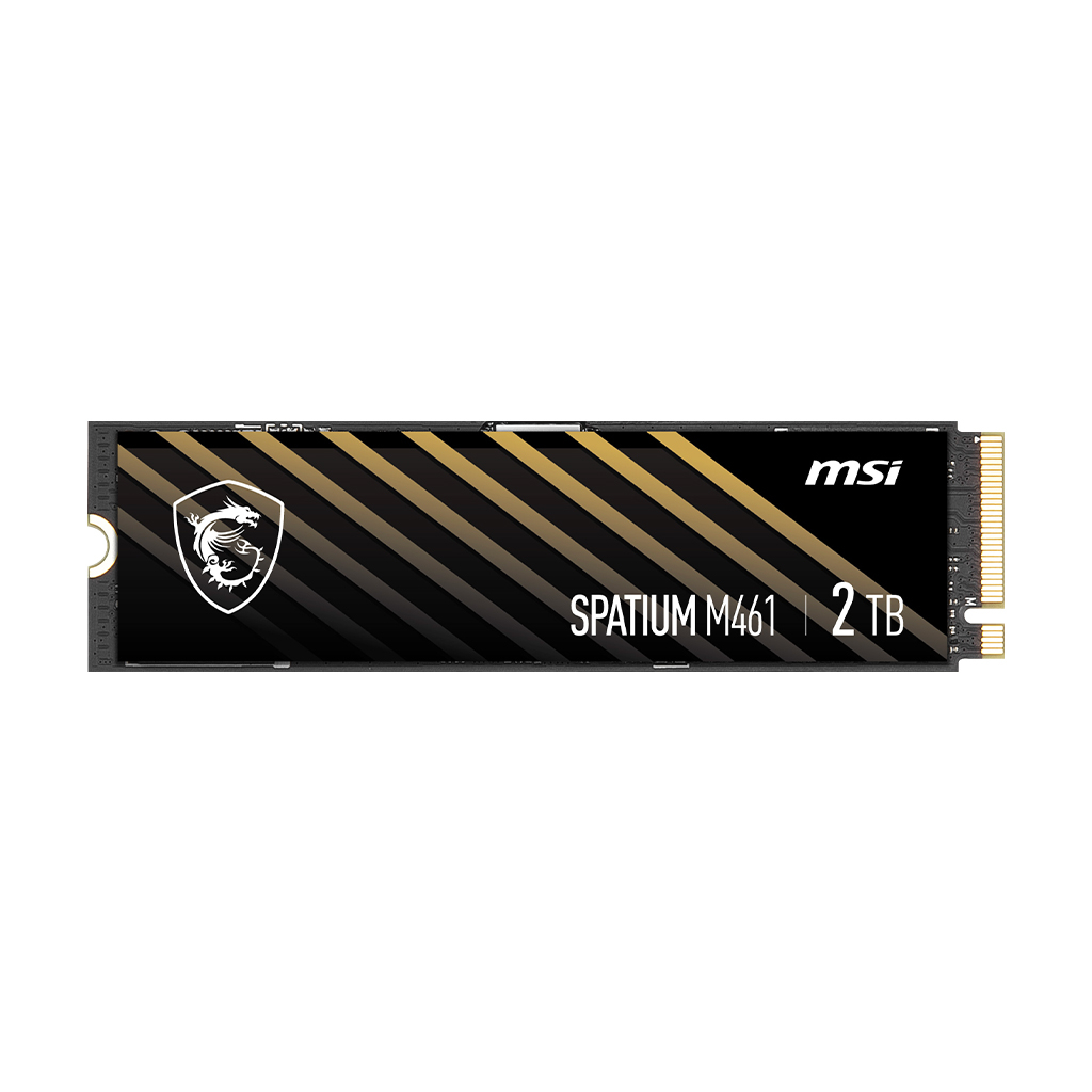 اس اس دی اینترنال ام اس آی مدل M461 ظرفیت دو ترابایت - فراسنتر