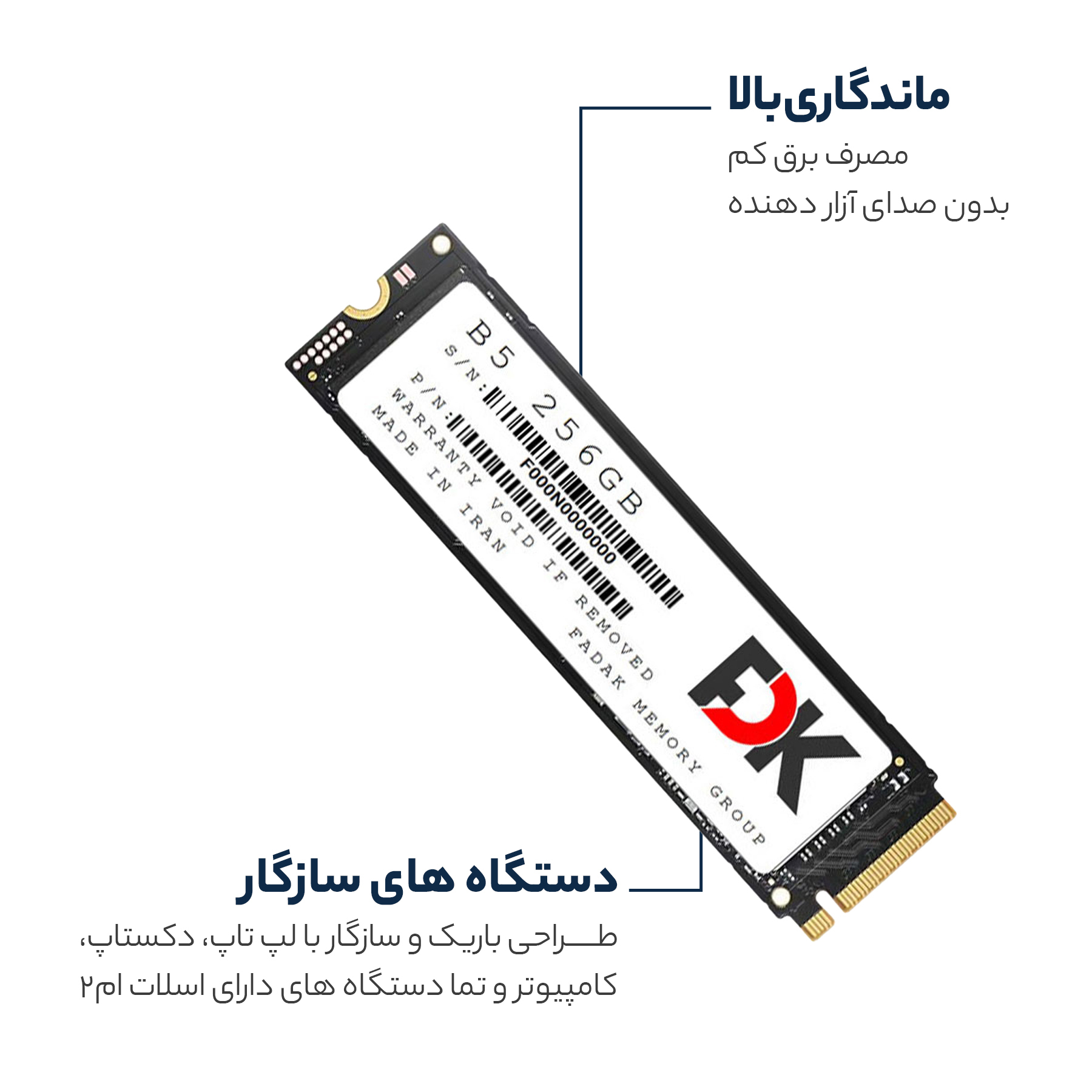 اس اس دی اینترنال فدک مدل B5 M.2 ظرفیت 256 گیگابایت - فراسنتر