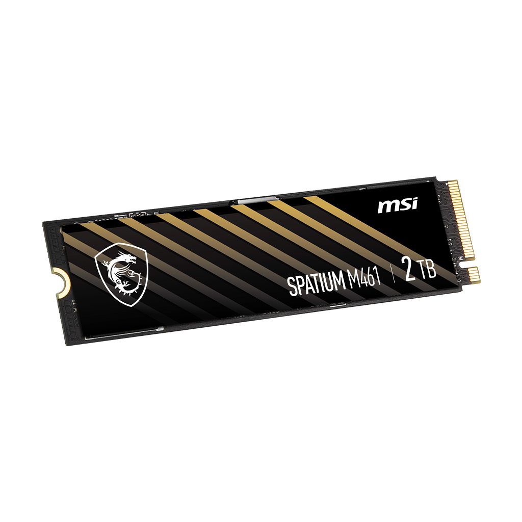 اس اس دی اینترنال ام اس آی مدل M461 ظرفیت دو ترابایت - فراسنتر