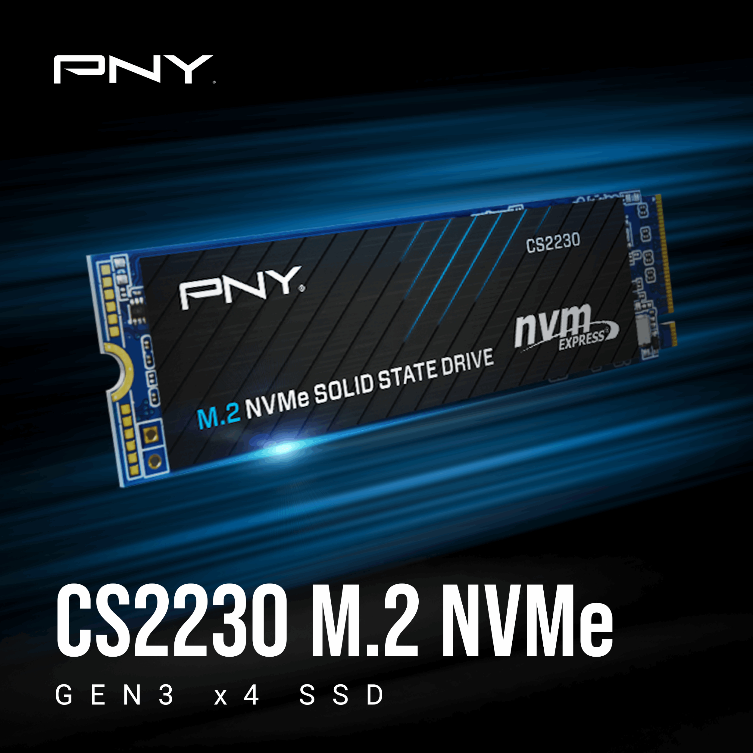 اس اس دی اینترنال پی ان وای مدل CS2230-M.2 2280 NVMe PCIe 3.0 3D NAND ظرفیت یک ترابایت - فراسنتر - دیجیتالی زندگی کن!